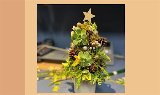 Holiday Succulent Workshop