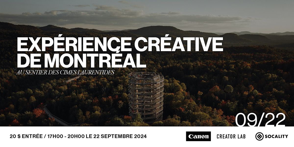 Montreal Creative Experience at Treetop Walk Laurentians