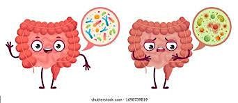 Dysbiosis and Digestive Discomfort