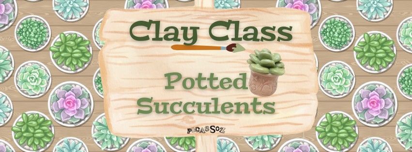 Clay Class - Potted Succulents