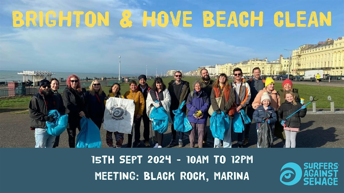 Brighton and Hove beach clean