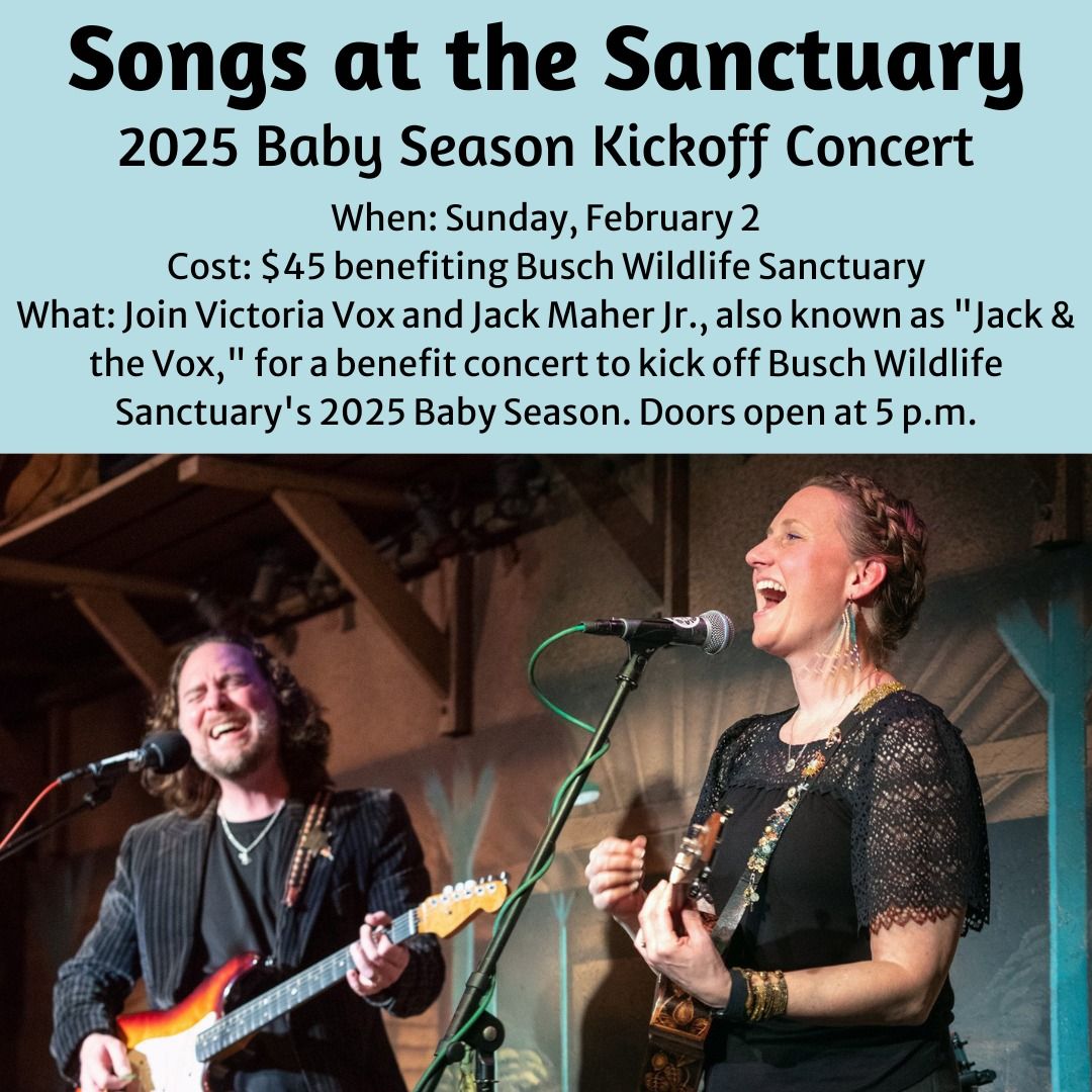 Songs at the Sanctuary: 2025 Baby Season Kickoff Concert