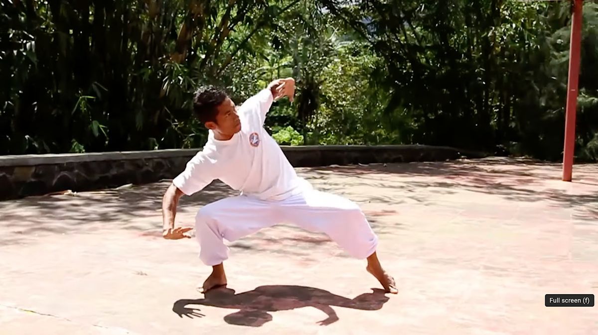 White Crane Kung Fu for All Levels - Intro to Animal Styles