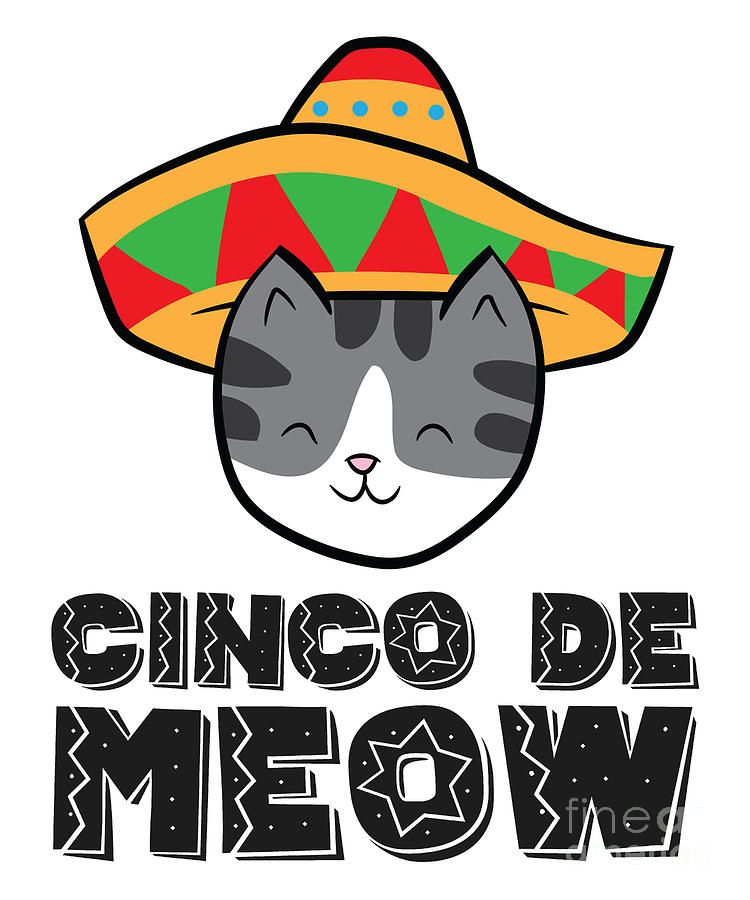 Celebrate Cinco De Meow!
