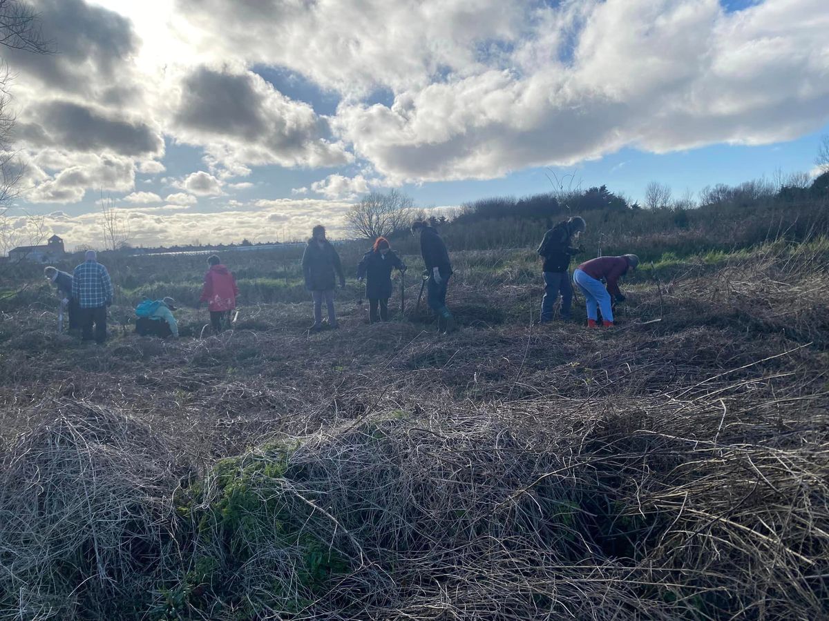  Roots for the Future: Community Tree Planting 