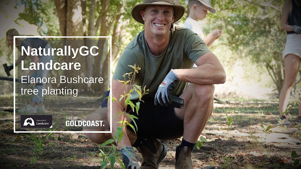 NaturallyGC:  Elanora Bushcare  Koala Tree Planting