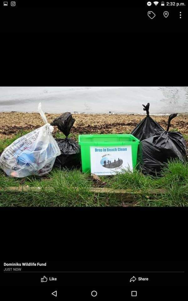 'Drop In Beach Clean'. Goatee Beach. Totton.