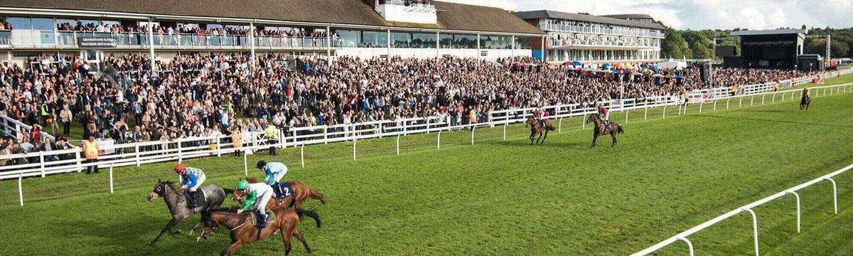 Lingfield All Weather Championship Vase Day