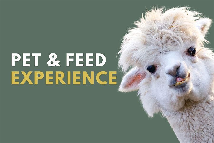 Pet and Feed Experience - Gainesville