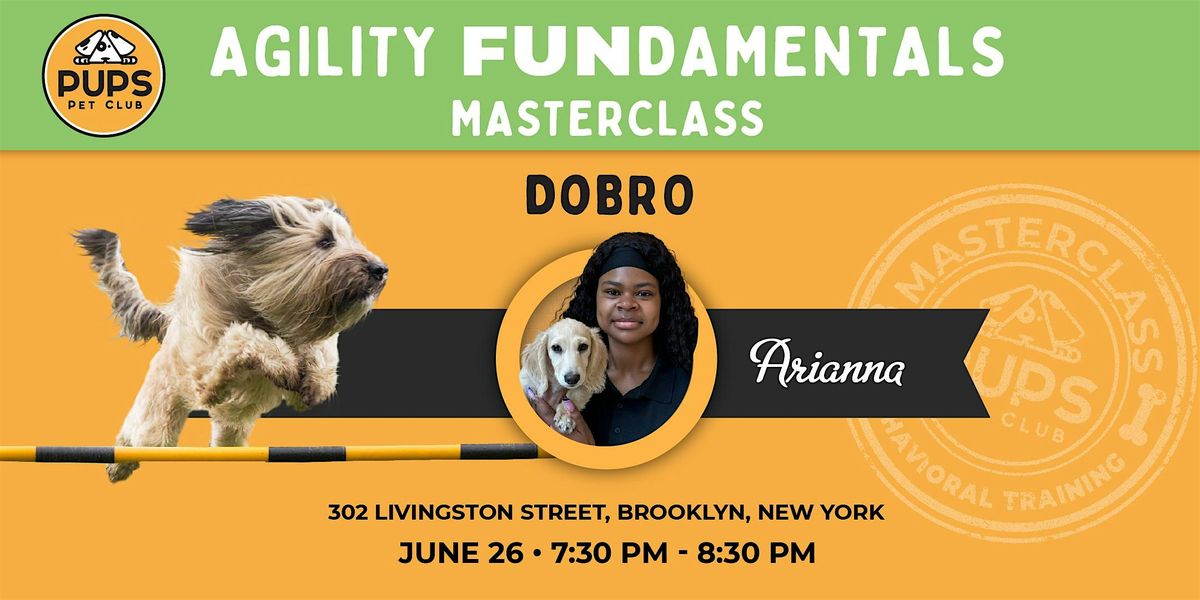 Agility FUNdamentals for Dogs - DOBRO 26