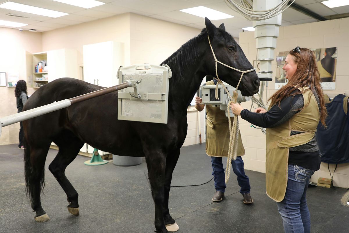 Equine Vet Tech  CE Event -Techniques in Radiography, Sedation & Pain Mgmt.