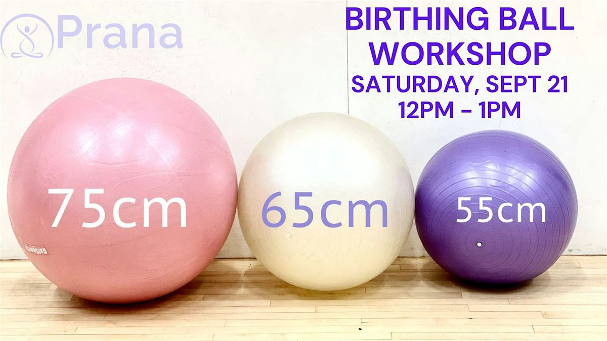 Birthing Ball Workshop