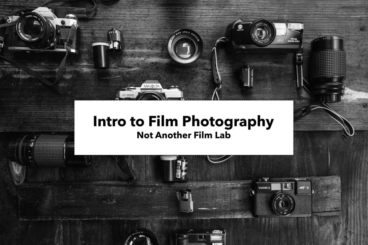 Intro to Film Photography (Beginners Only)