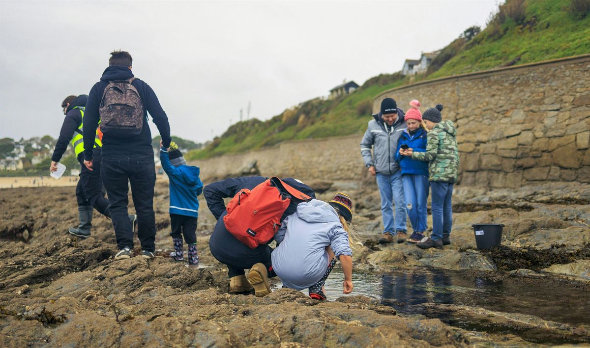 Big Rock Pool Challenge: Bioblitz Battle November 2024 (Falmouth)