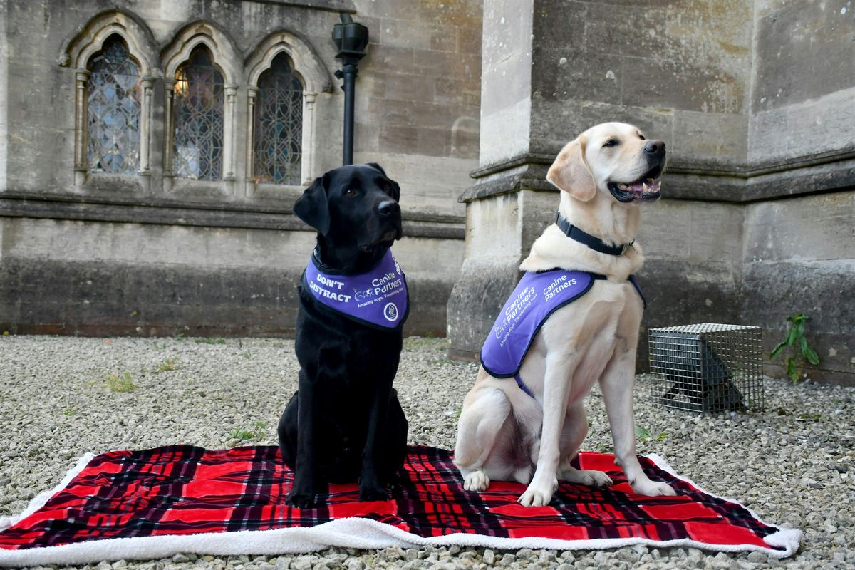 Canine Partners Christmas Carol Service