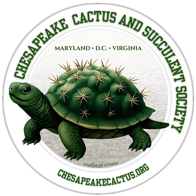 Chesapeake Cactus and Succulent Society
