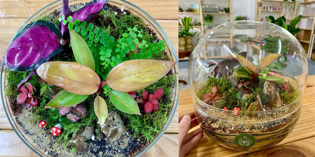 Christmas Terrarium Building Workshop