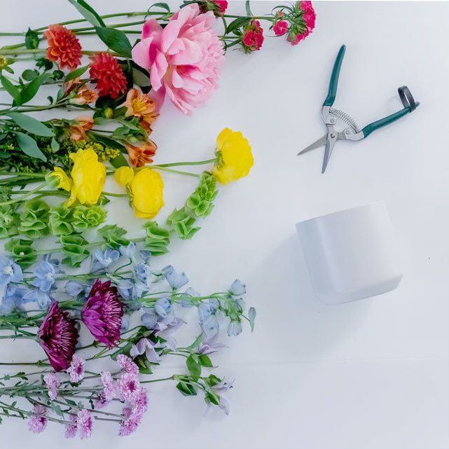 June 23, 2024 - Flower Arranging 101 Workshop - Color Theory Series