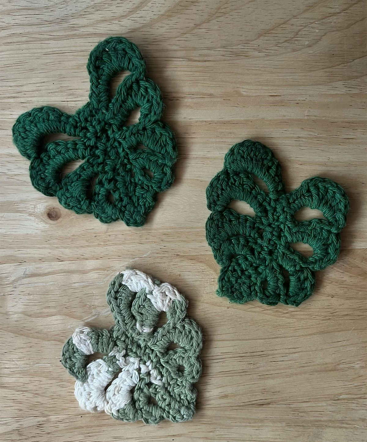 Monstera Leaf Crochet Class