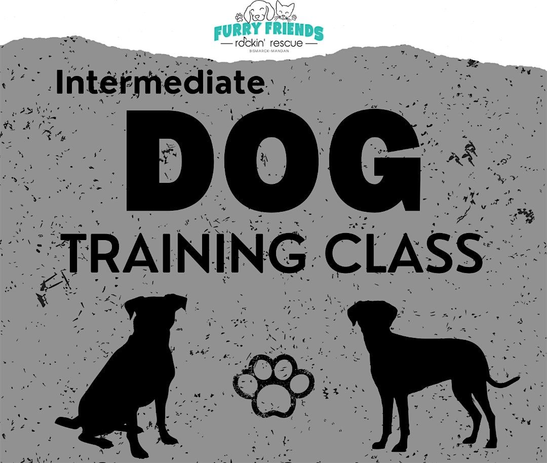 Intermediate Training