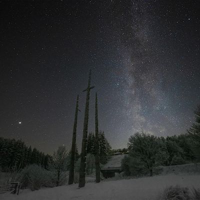 Liam Reid - Stonehaugh Enterprises