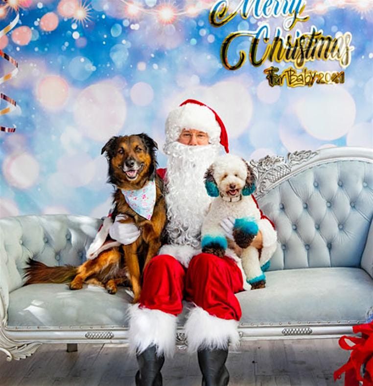 Santa Paws Photos by Scruffer Lovers inc.