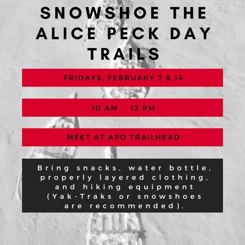 Snowshoe the Alice Peck Day Trails