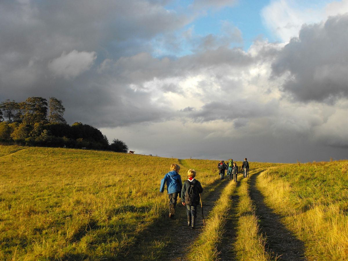 Orienteering Adventures