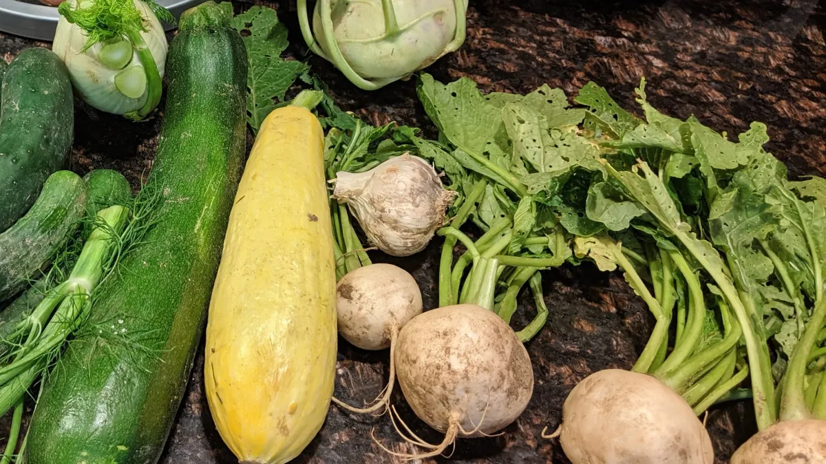 Gratitude Gathering with Beth Ami