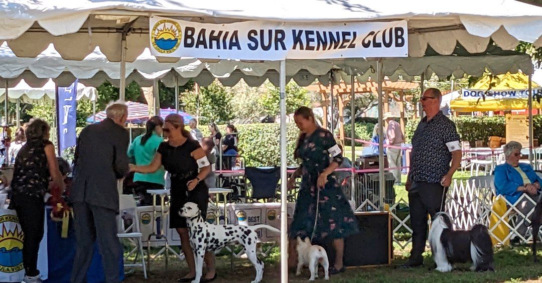 Bahia Sur Kennel Club Dog Show