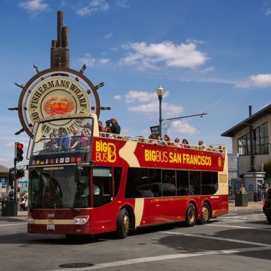 Big Bus San Francisco: Panoramic Night Tour