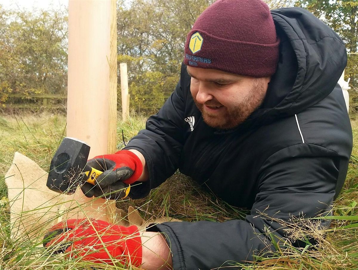 Tree Planting in Kirklees - Crosland  Moor & Netherton ward