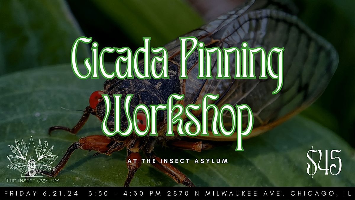 Cicada Pinning Workshop