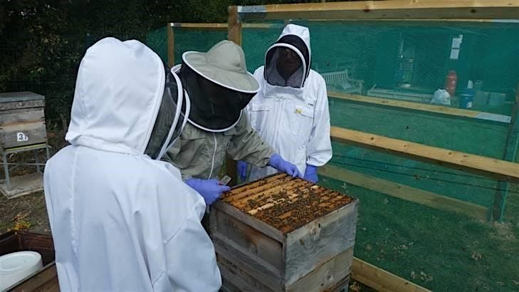 Beekeeper Taster Day