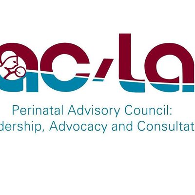 Perinatal Advisory Council: Leadership, Advocacy, and Consultation (PAC\/LAC)