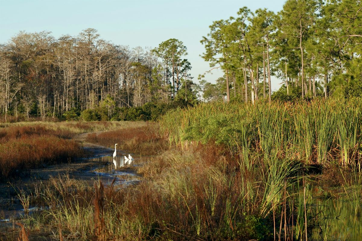 Guided Walk: CREW Flint Pen Strand Trails (Red Trail)