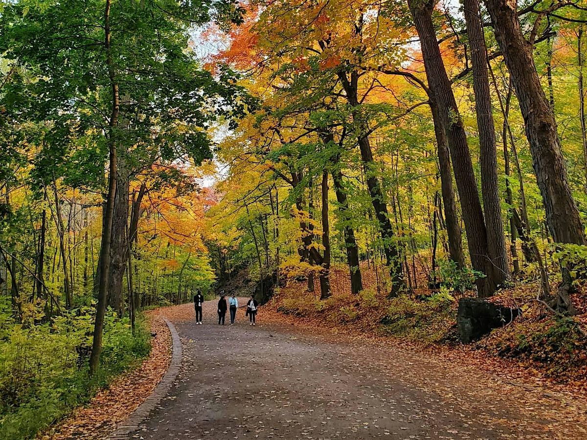 Tailored Tour of Mount Royal