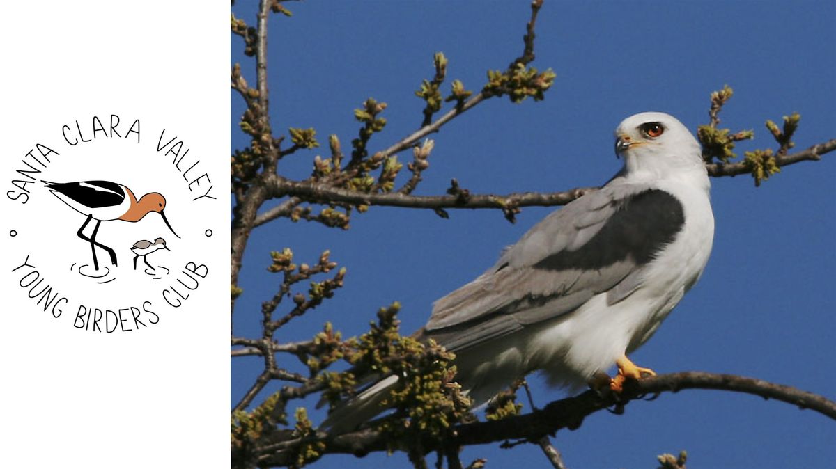 Young Birders Club: Coyote Hills Regional Park