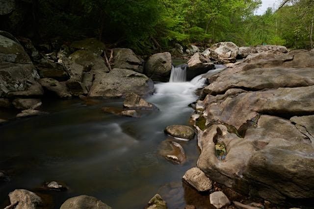 Master Your Camera Controls and Composition in the Field - Photo Workshops