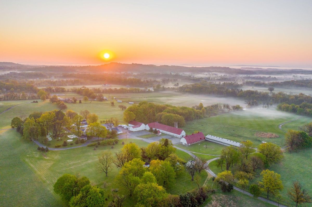 HSB Bluemont Station Brewery & Winery