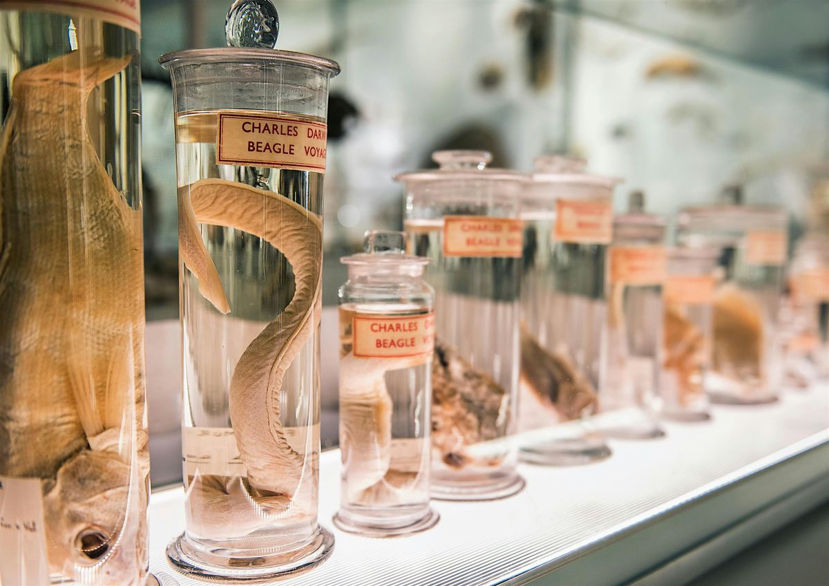 From Darwin to Dodos: Guided Tour of the Museum of Zoology