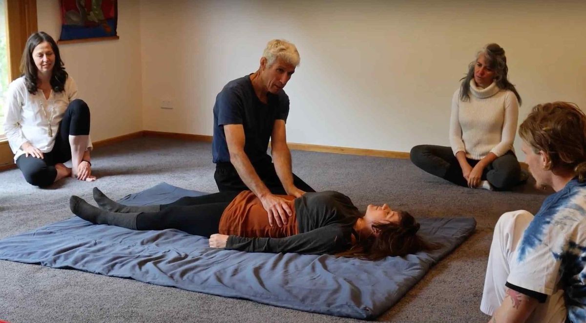 Touching the Heart of the Nervous System - Somatic Trauma Training for Bodywork Therapists