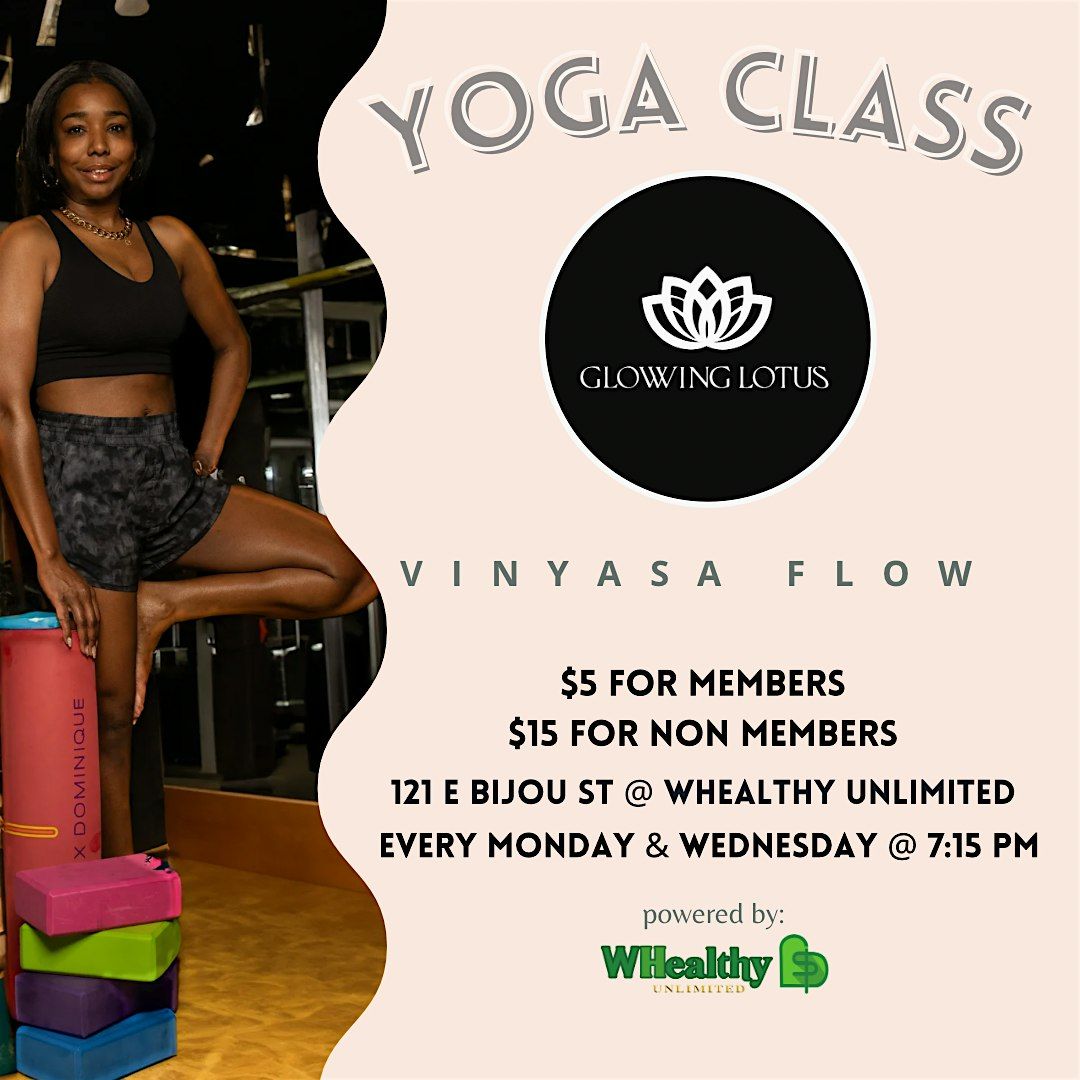 VInyasa Flow Yoga Class