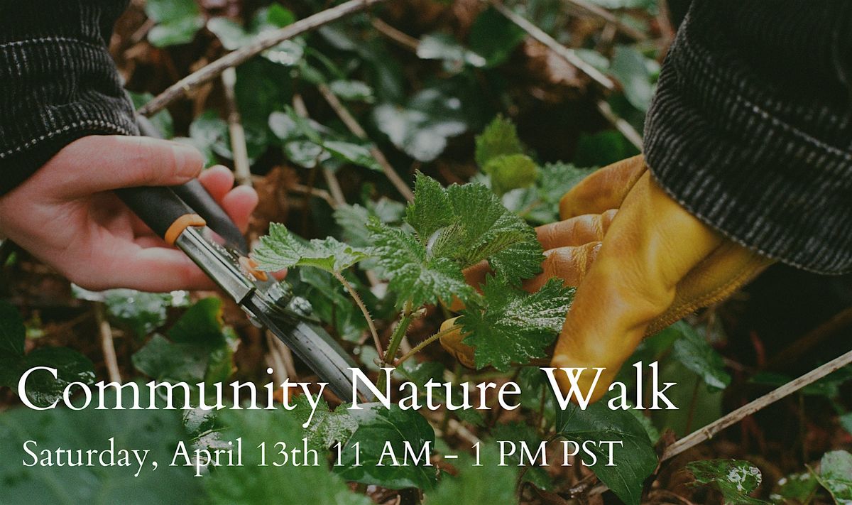 Monthly Community Nature Walk