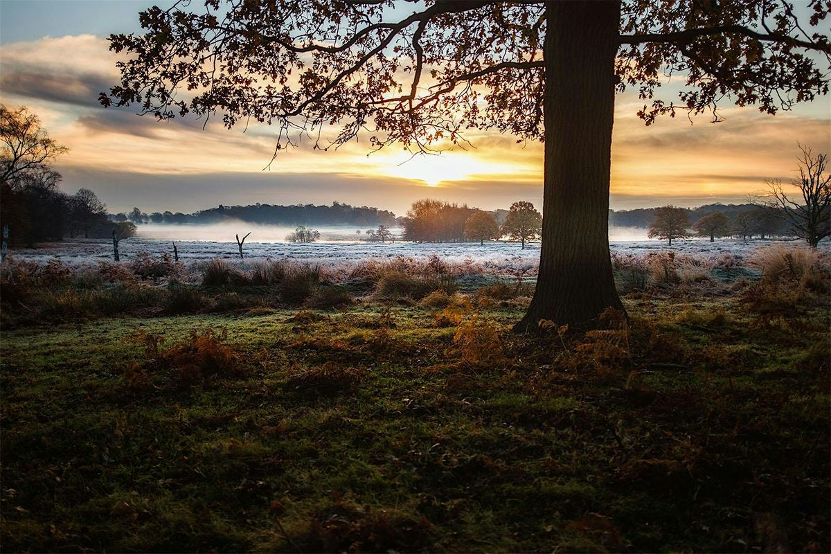 BFTLDN X Black Girl 20k Steps Walk