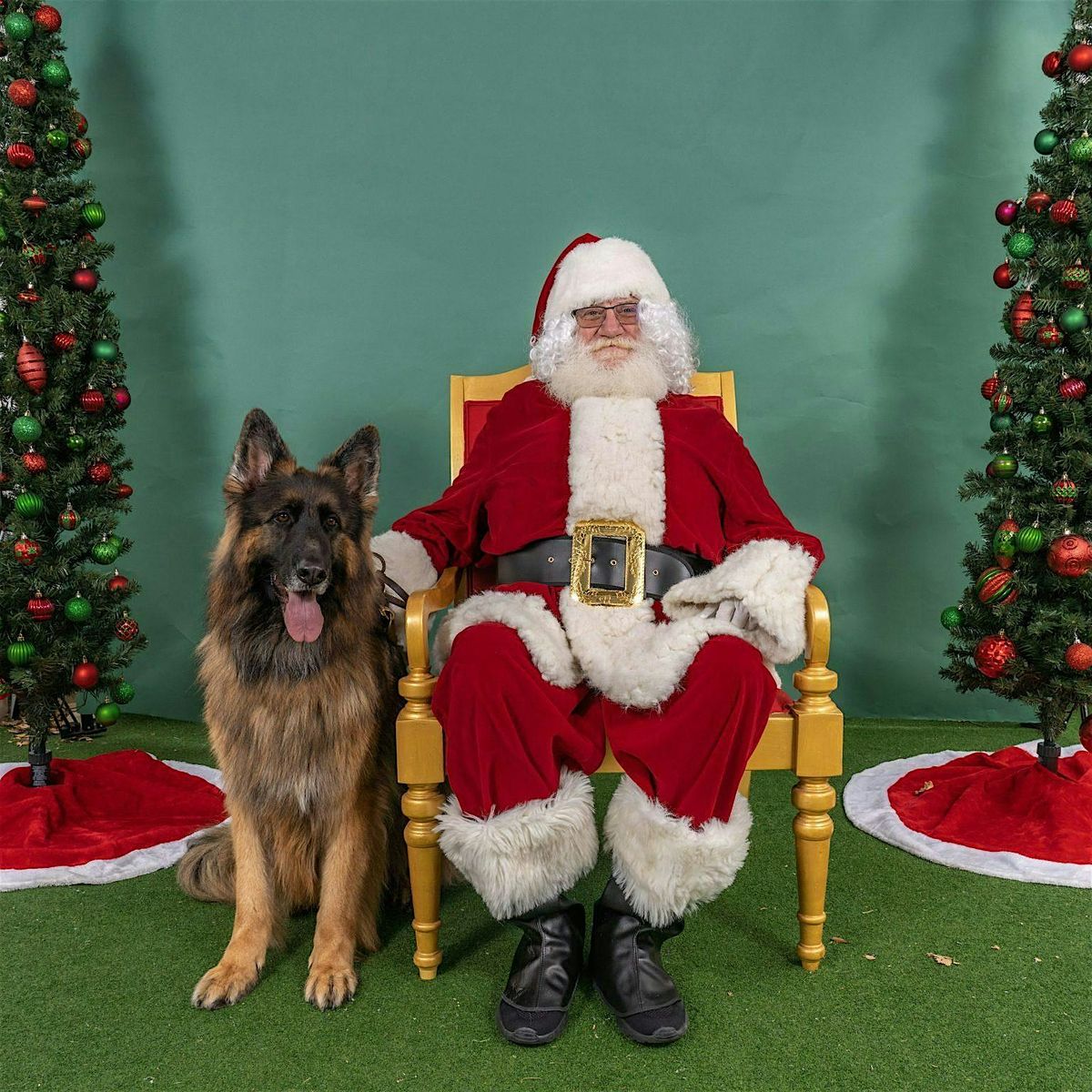 Pictures with Santa Paws