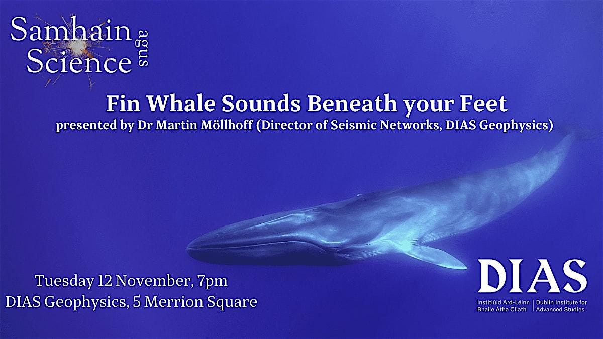 Fin Whale Sounds Beneath your Feet!