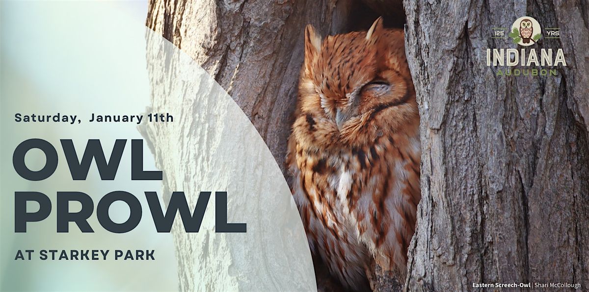 Owl Prowl at Starkey Park