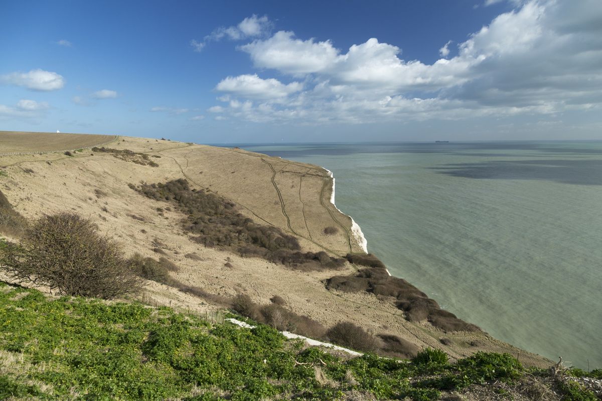 Folklore and Medicinal Uses of Chalk Downland Plants