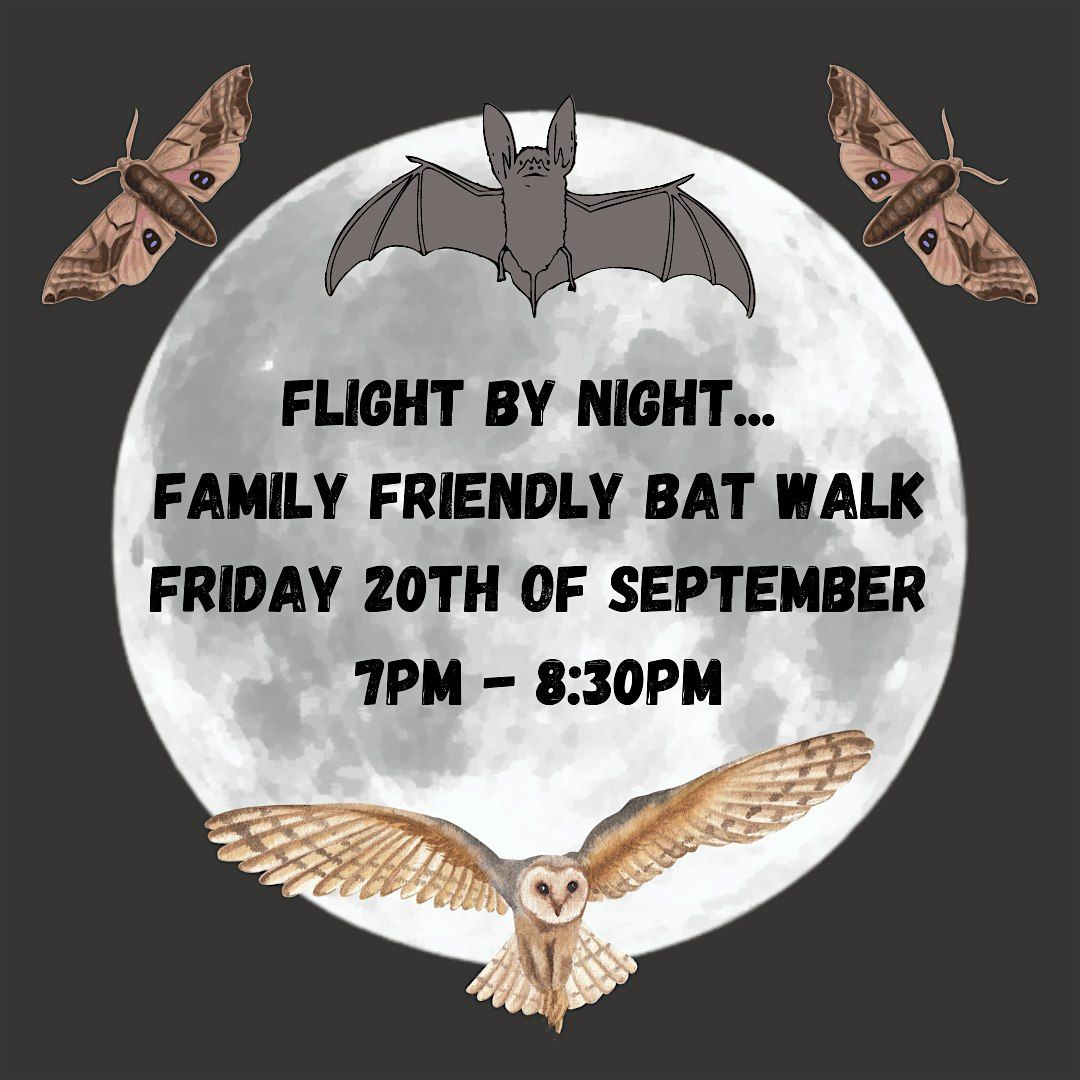 Flight By Night - Evening Bat Walk